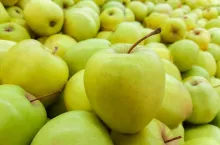 background of fresh green apples. close-up of an apple