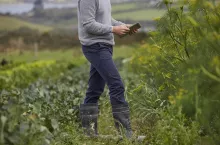 Cropped view of man on farmland using digital tablet