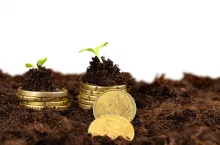 Euro coins and plant sprouts close up, financial growth concept