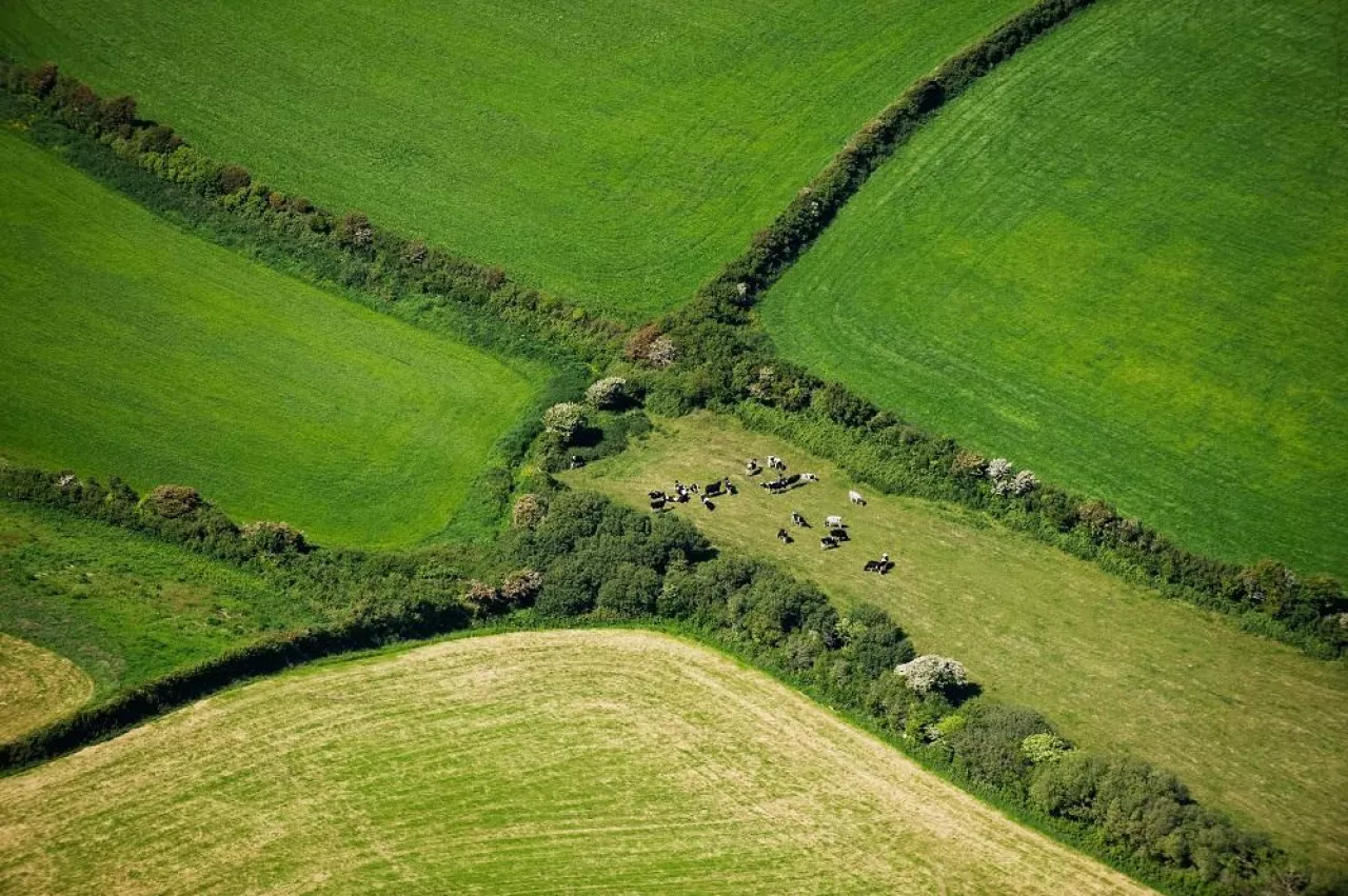 English agricultural fields Aerial view