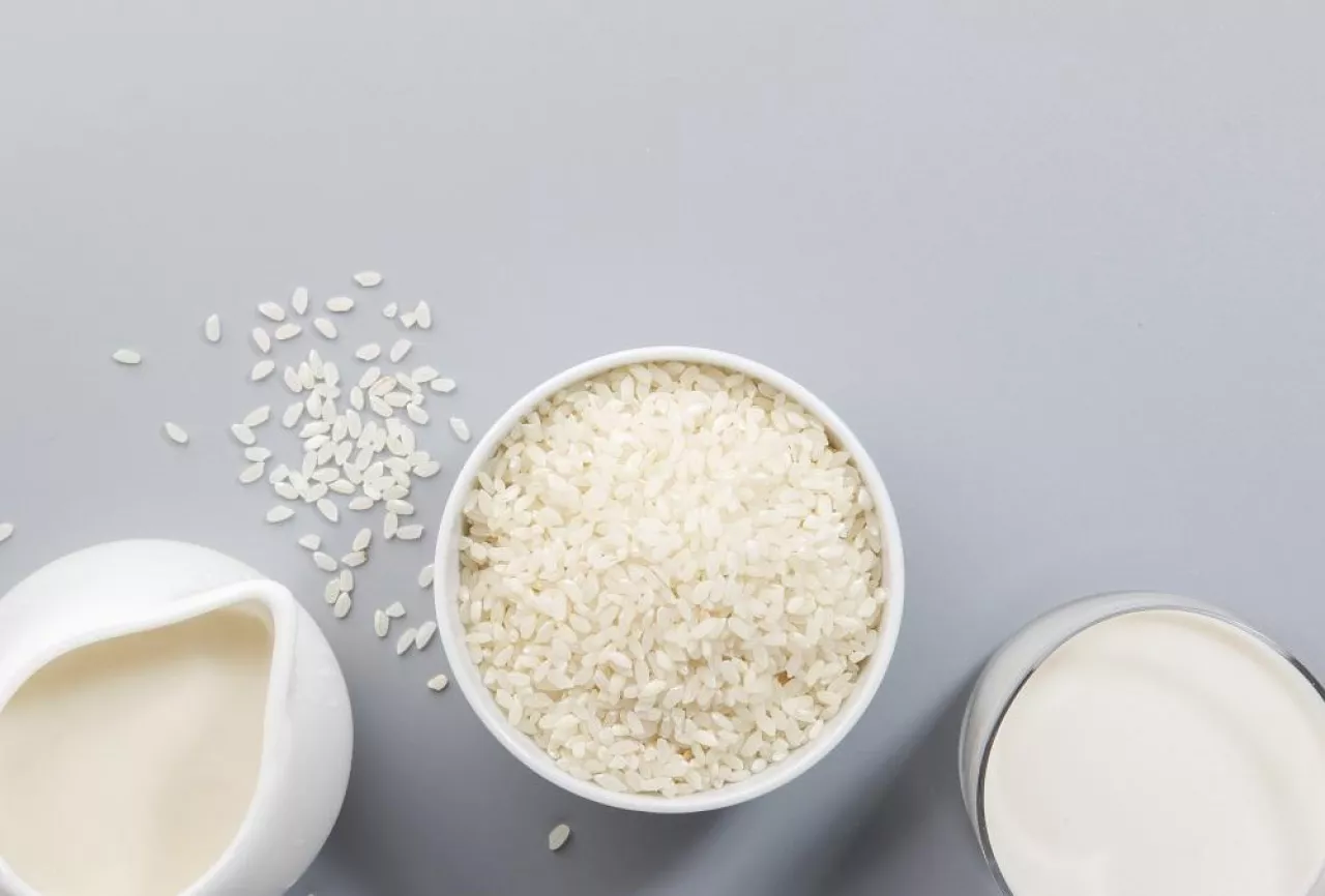 Vegan Rice milk with rice grains on gray background. Copy space, top view