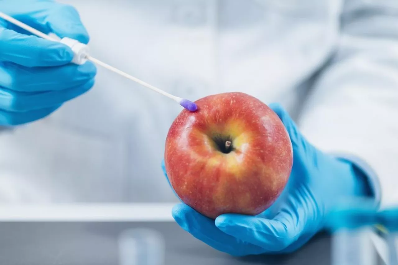 Food Safety Pesticide and Nitrate Testing of Apples in Laboratory- Biochemist looking for presence of pesticides and nitrates in apple fruit