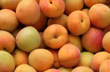 Apricots close-up.