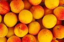 Fresh apricots background