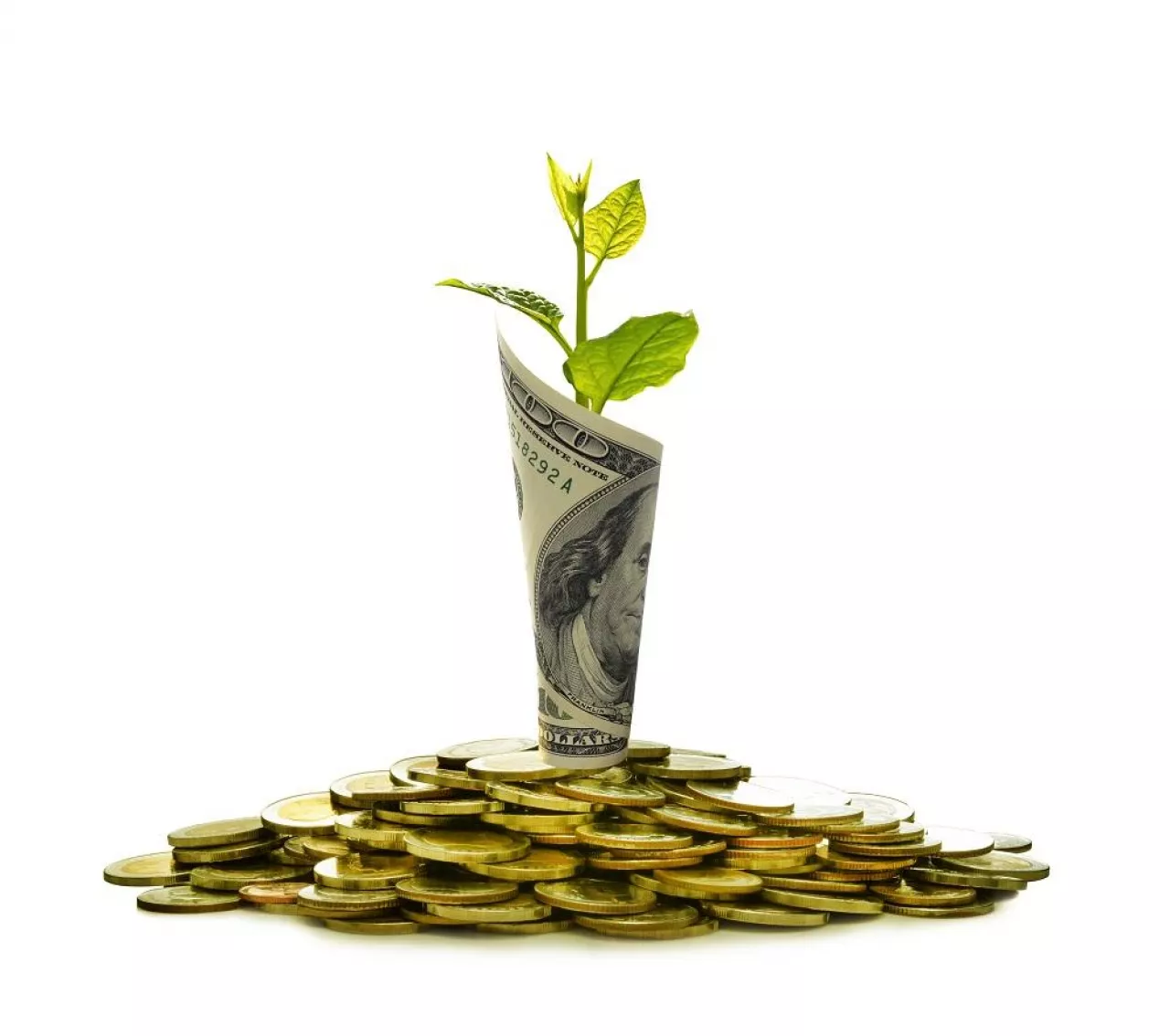 Image of pile of coins and rolled bank note with plant on top showing business, saving, growth, economic concept isolated on white background