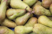 Green pears at a local farmers market