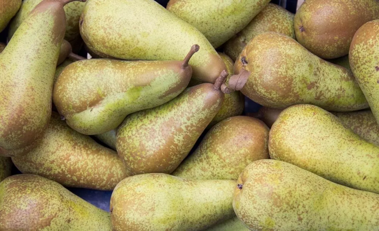 Green pears at a local farmers market