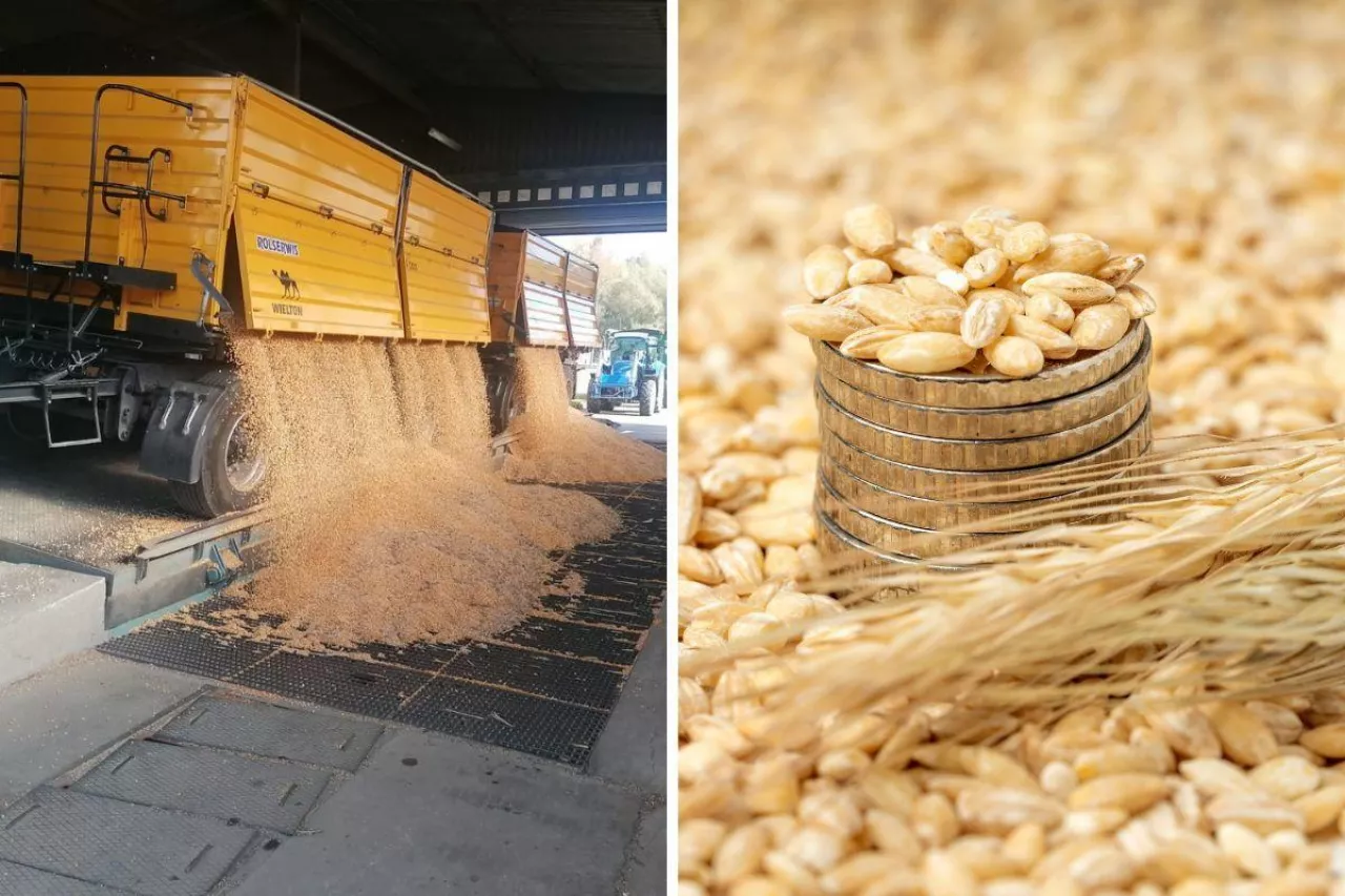 Rząd wreszcie opublikował rozporządzenie w sprawie dopłaty do zbóż