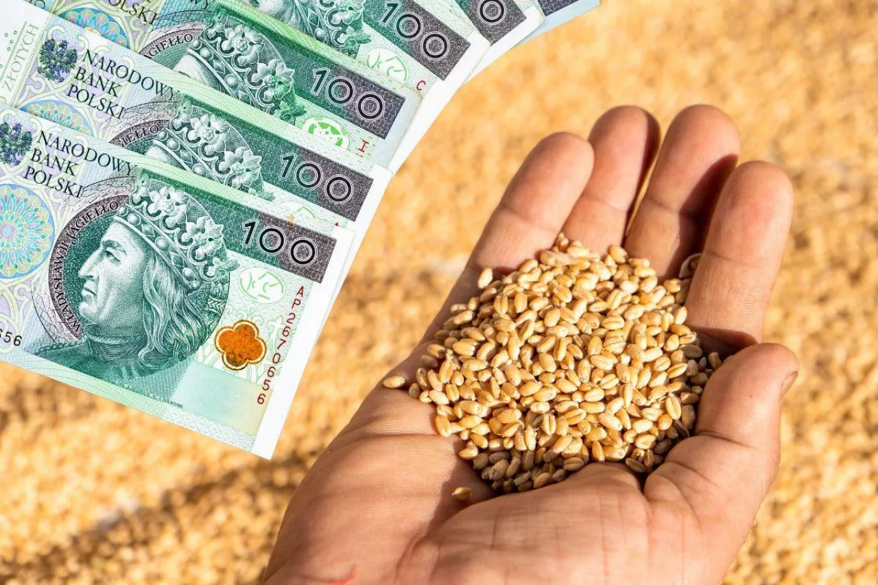Dopłaty do zbóż 2024: czy termin sprzedaży będzie wydłużony?
