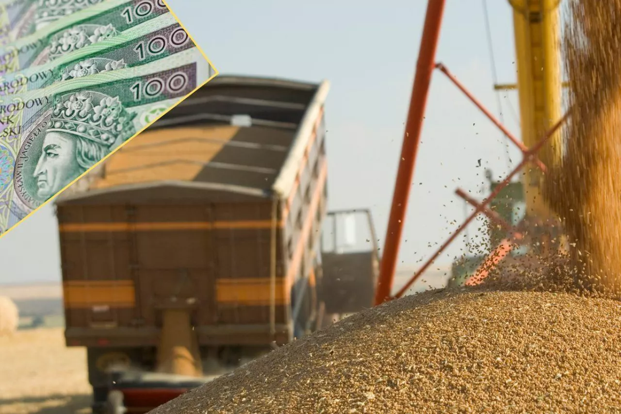 Dopłaty do zbóż: kiedy rolnicy dostaną pieniądze? ARiMR wyjaśnia
