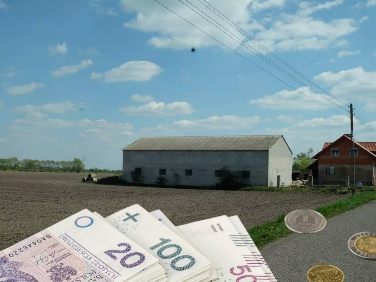 Startuje nabór wniosków na Rozwój małych gospodarstw 2024. Dla kogo 120 tys. zł?