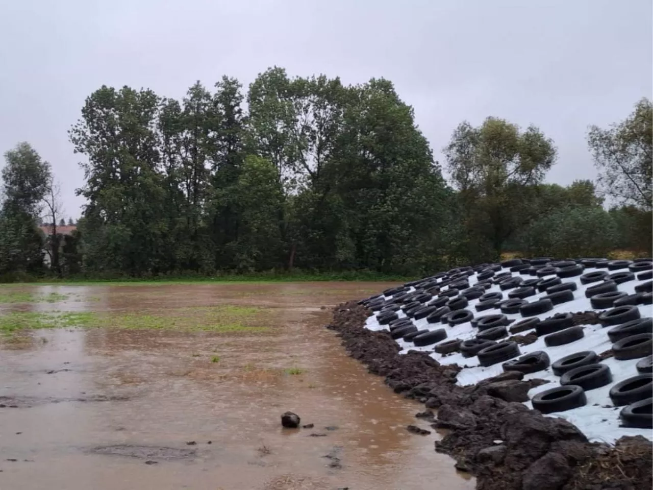 Ulewy i powodzie niszczą rolnikom uprawy