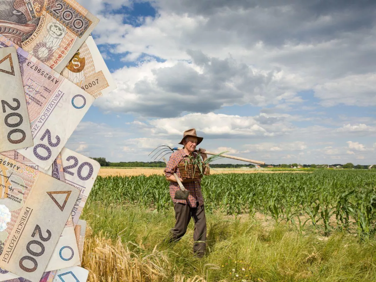 Czy będąc rencistą mogę kontynuować ubezpieczenie w KRUS?