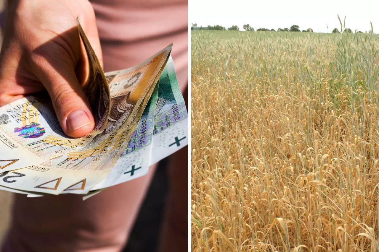 Pomoc suszowa i pomoc dla rodzin: czy będzie współczynnik korygujący?