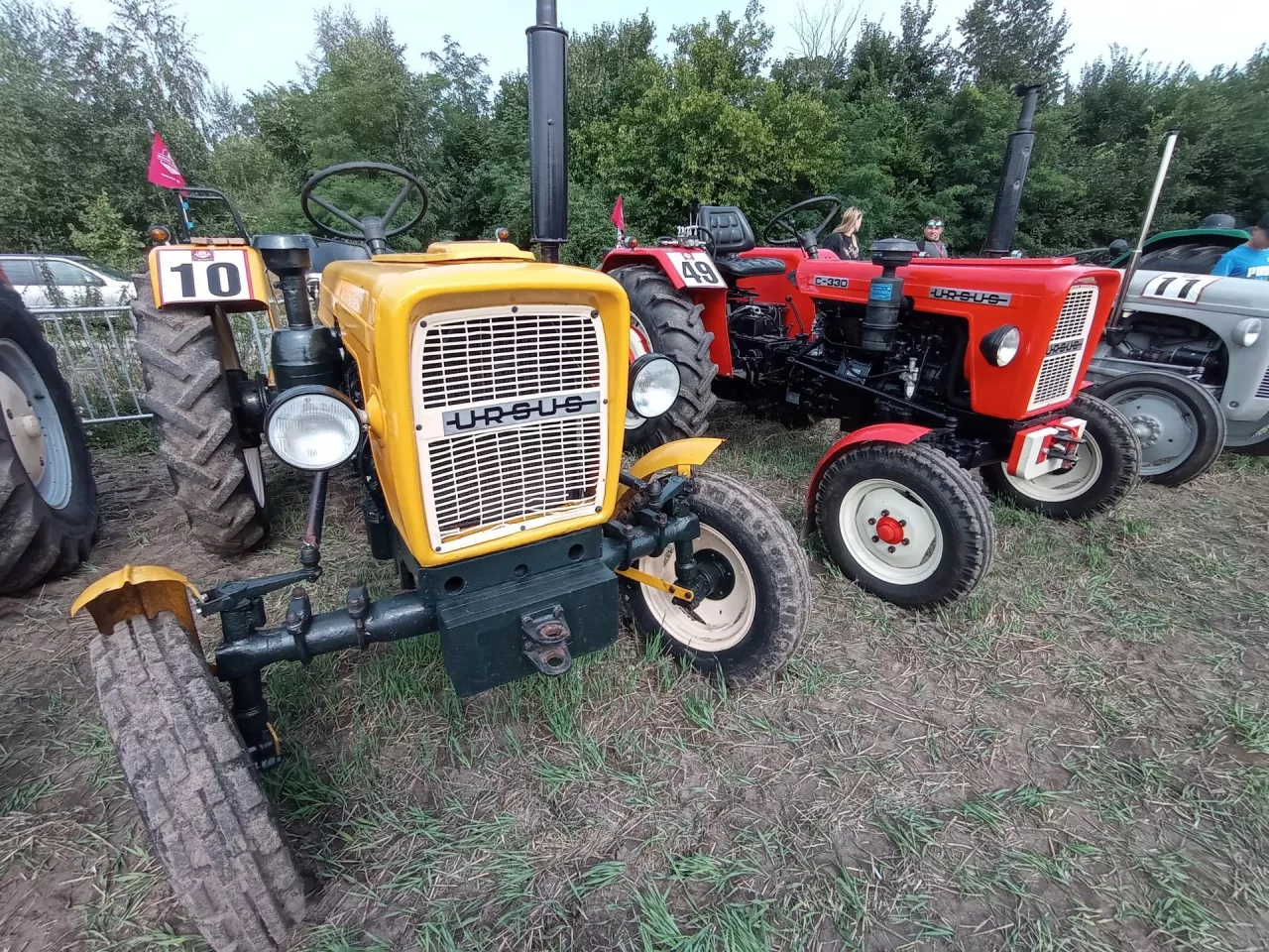 Na zdjęciu widoczne są zabytkowe ciągniki Ursus C-330 w doskonałym stanie technicznym, prezentowane podczas plenerowej wystawy maszyn rolniczych. Modele oznaczone numerami startowymi świadczą o ich udziale w pokazie. Uwagę zwraca klasyczna stylistyka i zachowane oryginalne detale, które przyciągają miłośników dawnej techniki rolniczej.