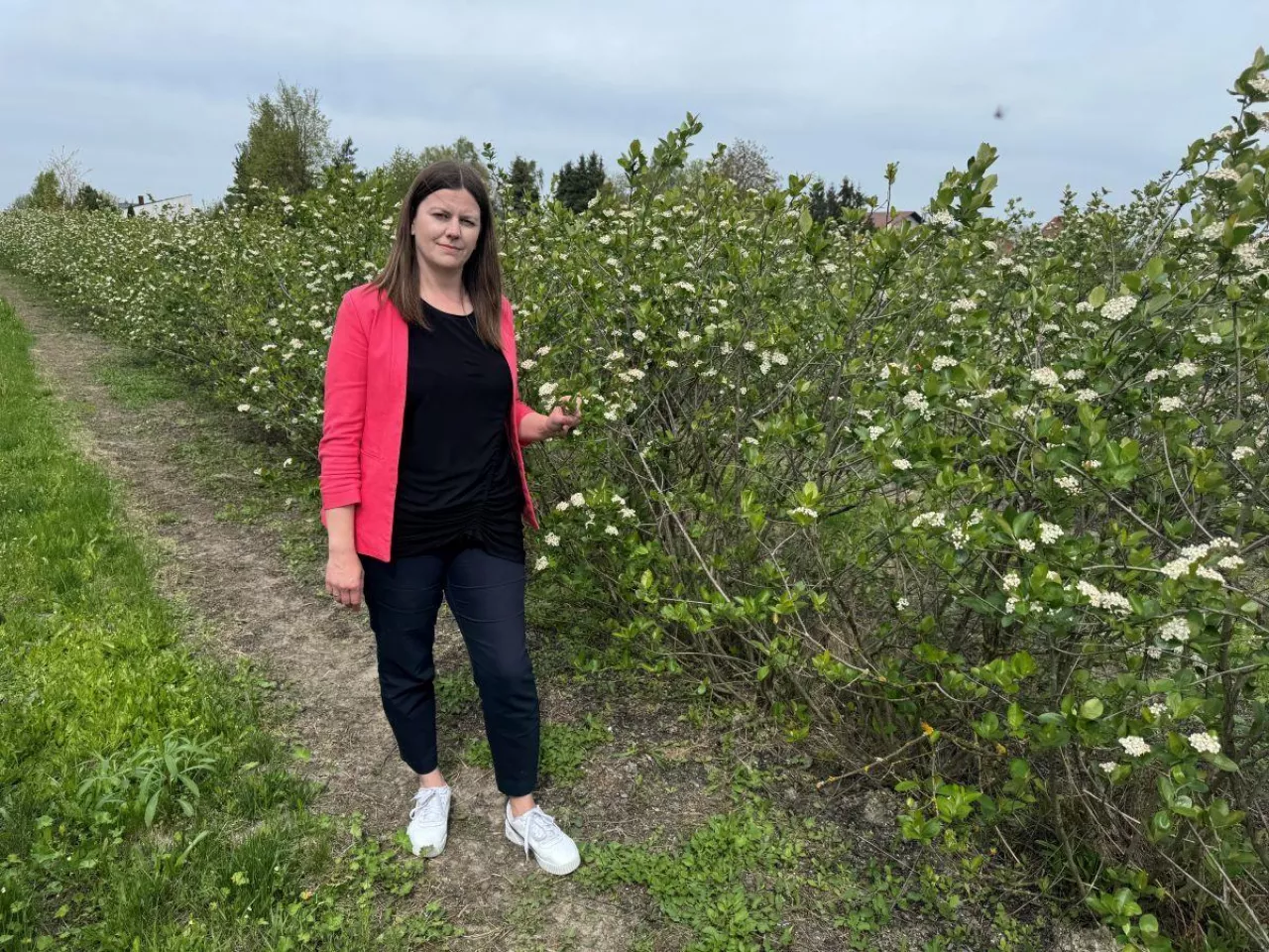 Justyna Wasiak, Sumi Agro Poland