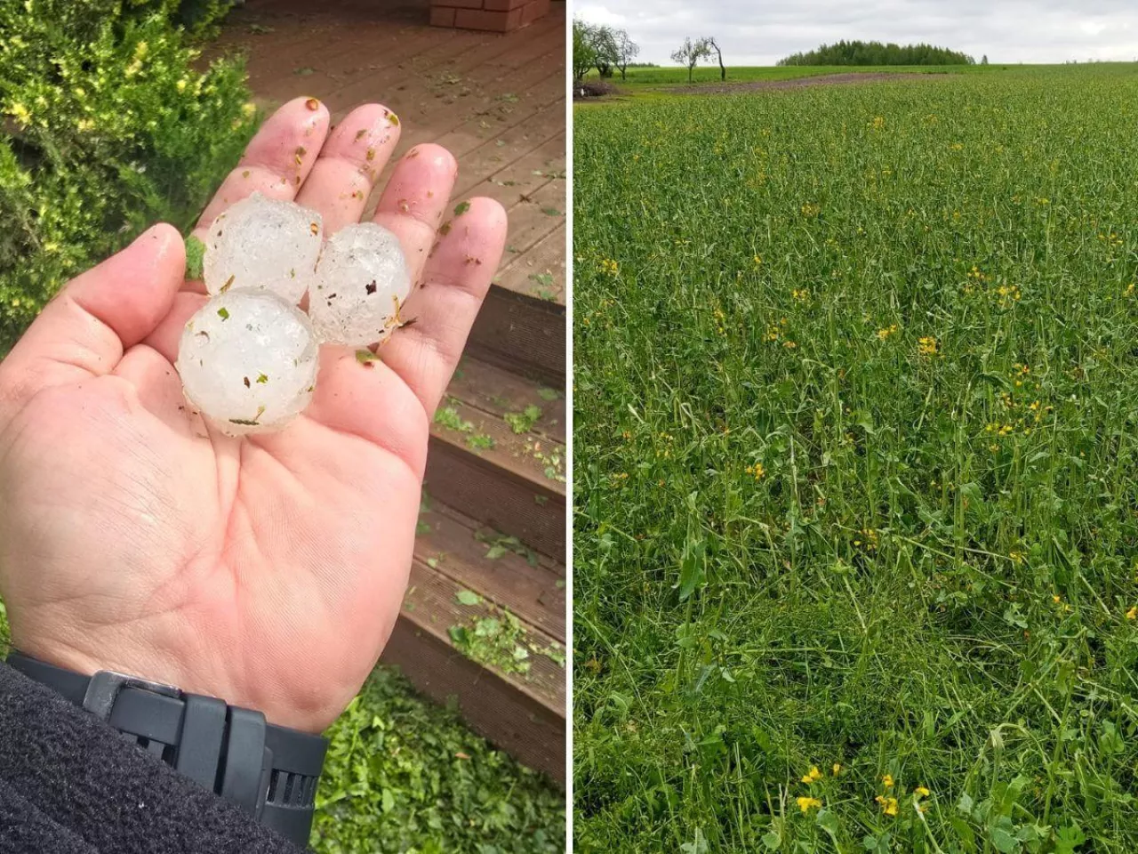 Gradobicie w powiecie piotrkowskim