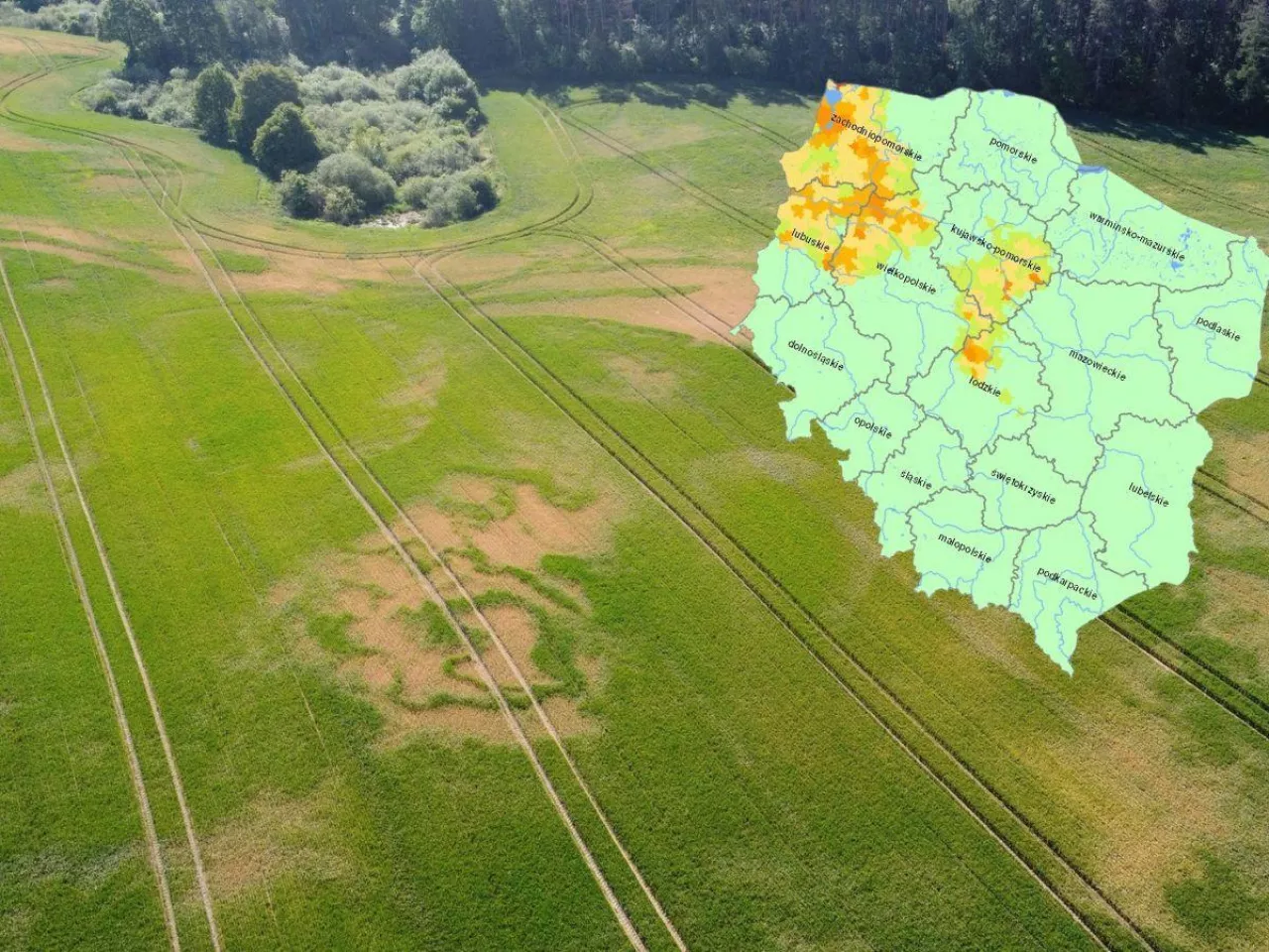 Instytut Uprawy Nawożenia i Gleboznawstwa opublikował pierwszy w tym roku raport suszowy.