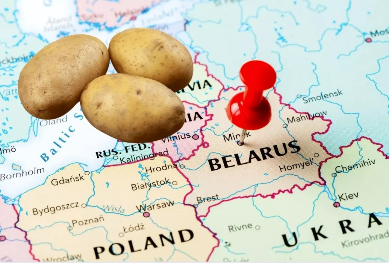 embargo polska ziemniaki
