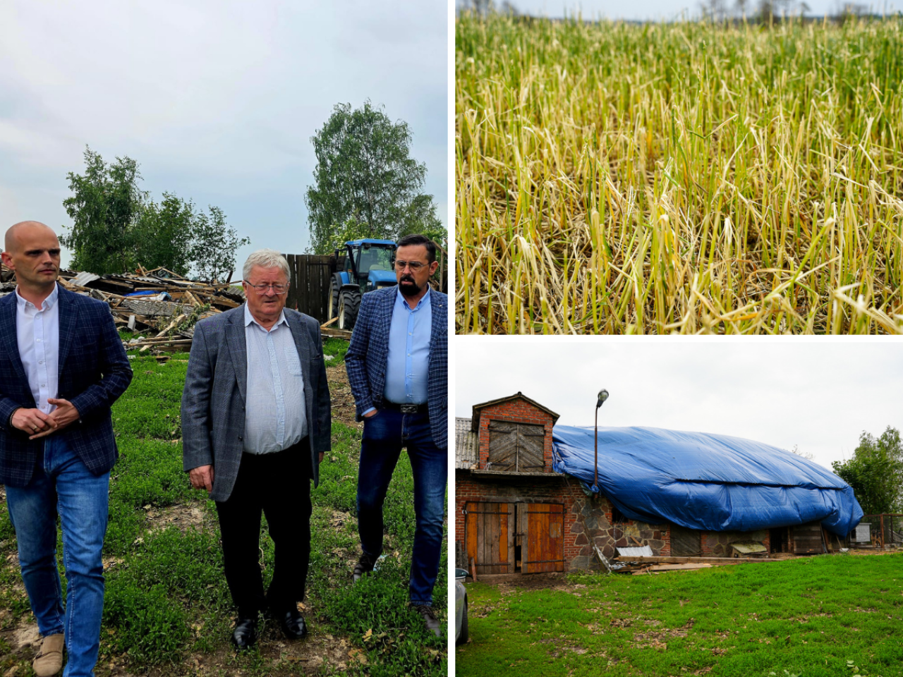 5000 ha upraw zniszczone, rolnicy z Mazowsza zdruzgotani. Minister szykuje plan ratunkowy