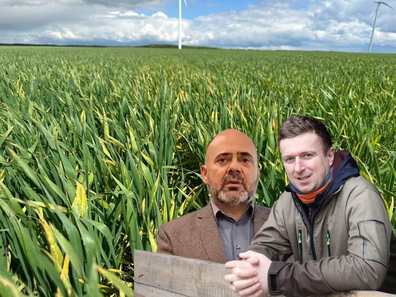 Rzepak zniszczony, firmy liczą po swojemu. Rolnicy przechodzą do działania  [WIDEO]