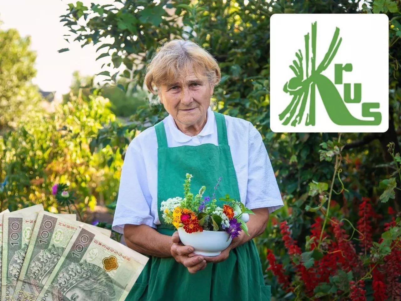 Ile wynosi najwyższa emerytura KRUS w Polsce? Kwota może zdziwić