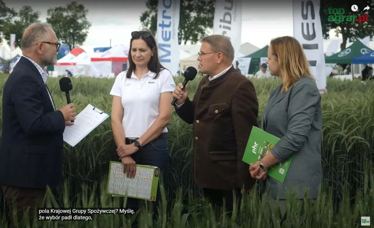 Podczas Dnia Pola Krajowej Grupy Spożywczej w Sobiejuchach Karol Bujoczek (AgroHorti Media) rozmawia z Tomaszem Dudkiewiczem (prezes DANKO i PHR), Małgorzatą Niewińską (dyrektor ZHR DANKO) oraz dr Dorotą Jasińską (dyrektor PHR). Tematem rozmowy były kierunki rozwoju hodowli zbóż, znaczenie pszenżyta oraz potencjał nowych technik genomowych (NGT) w przyspieszaniu postępu hodowlanego.