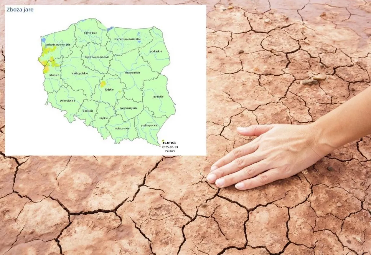 susza rolnicza w Polsce raport IUNG