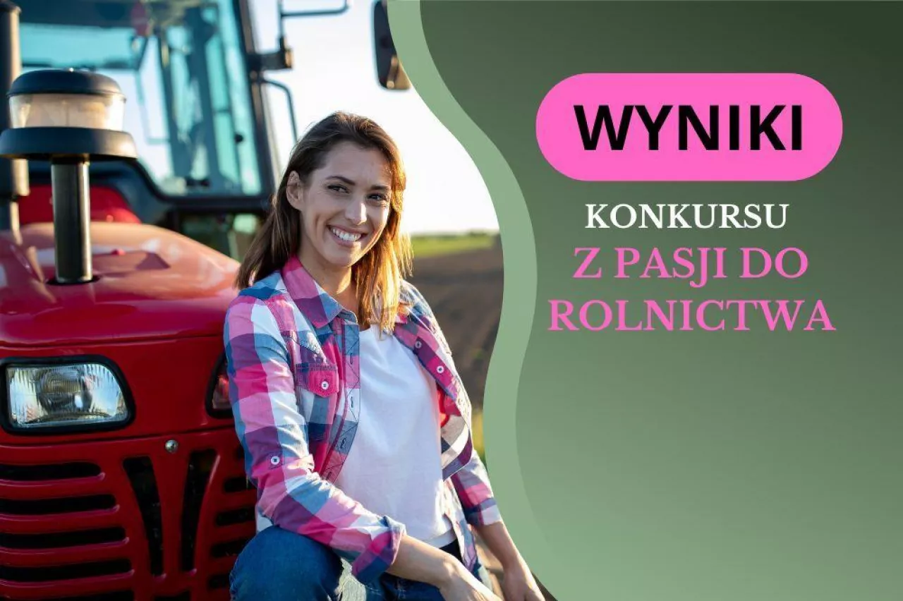 wyniki grafika