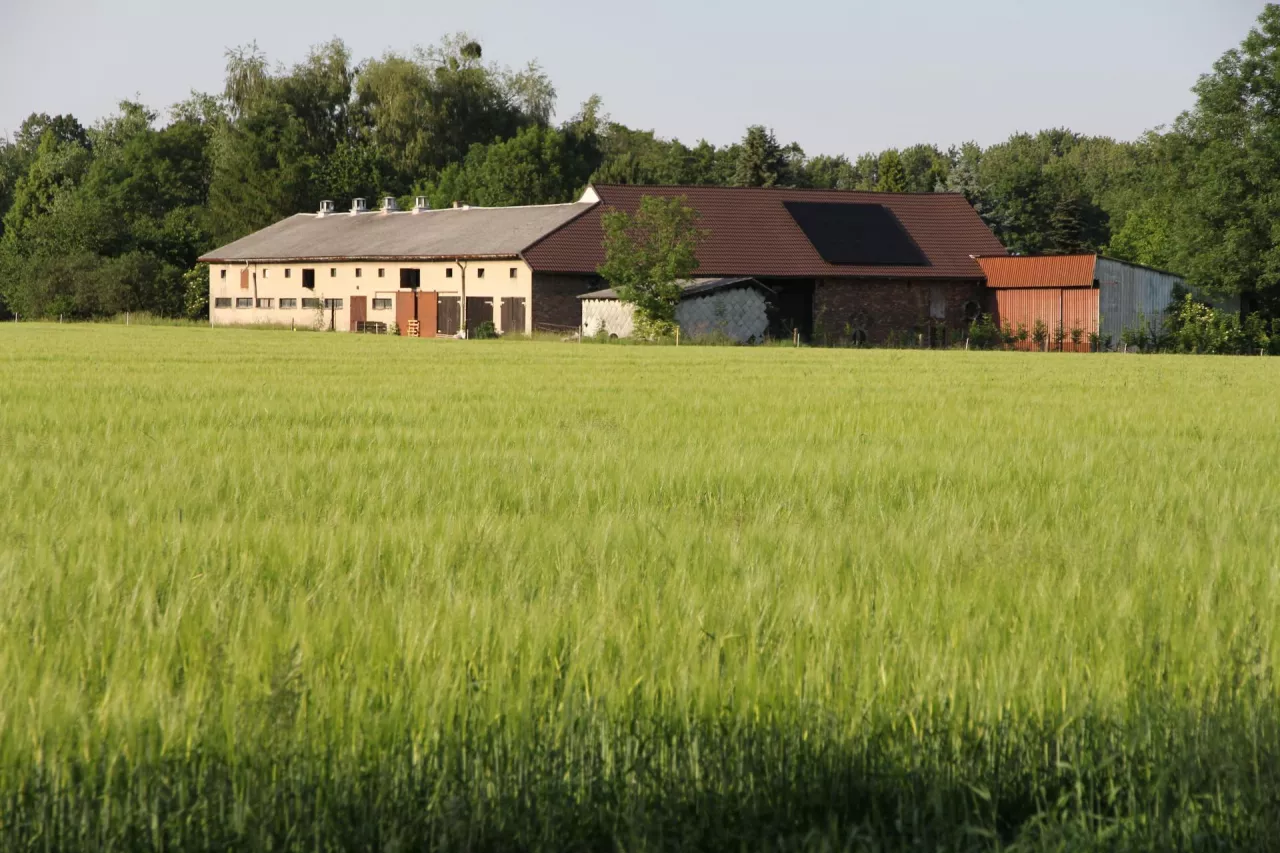 Czy posiadacz samoistny może wydzierżawić grunty pod działalność gospodarczą?