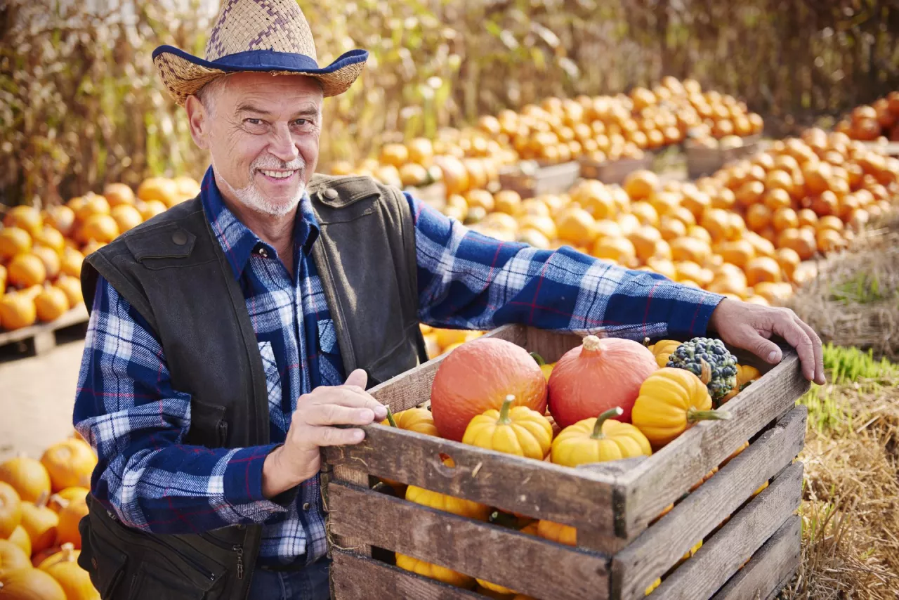 Co i w jaki sposób rolnik może sprzedać w ramach produkcji pierwotnej?