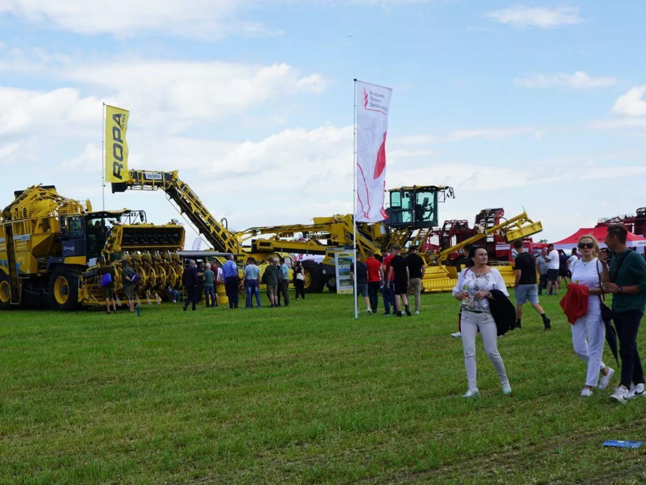 Zebrali ponad 100 ton buraków z hektara. Radość psuje groźny szkodnik