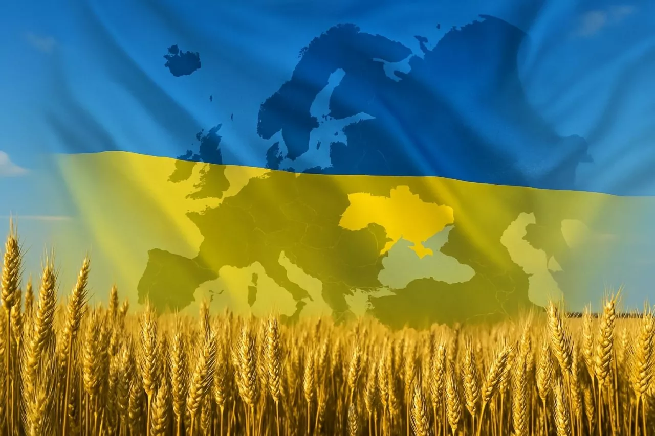 Flaga Ukrainy z mapą Europy na tle pola pszenicy. Symboliczne przedstawienie rosnącego eksportu produktów rolnych z Ukrainy do Unii Europejskiej w związku z nową umową handlową (DCFTA).