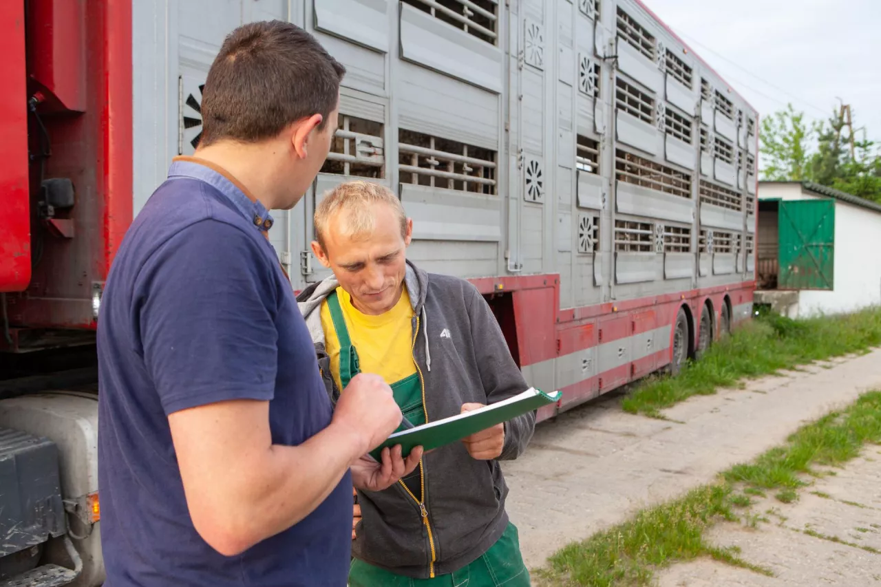Rolnicy nie stracą dopłat dobrostanowych przez pośredników?