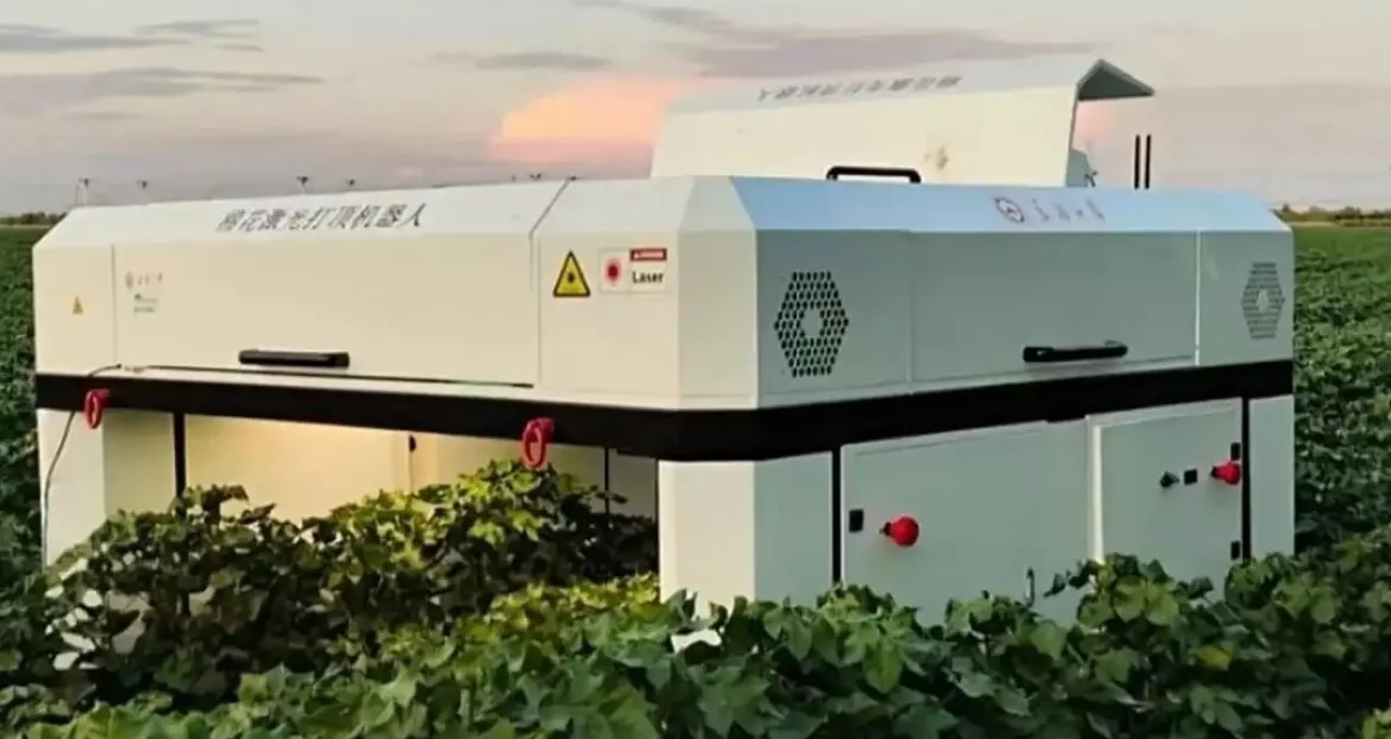 Choński robot do laserowego obcinania bawełny