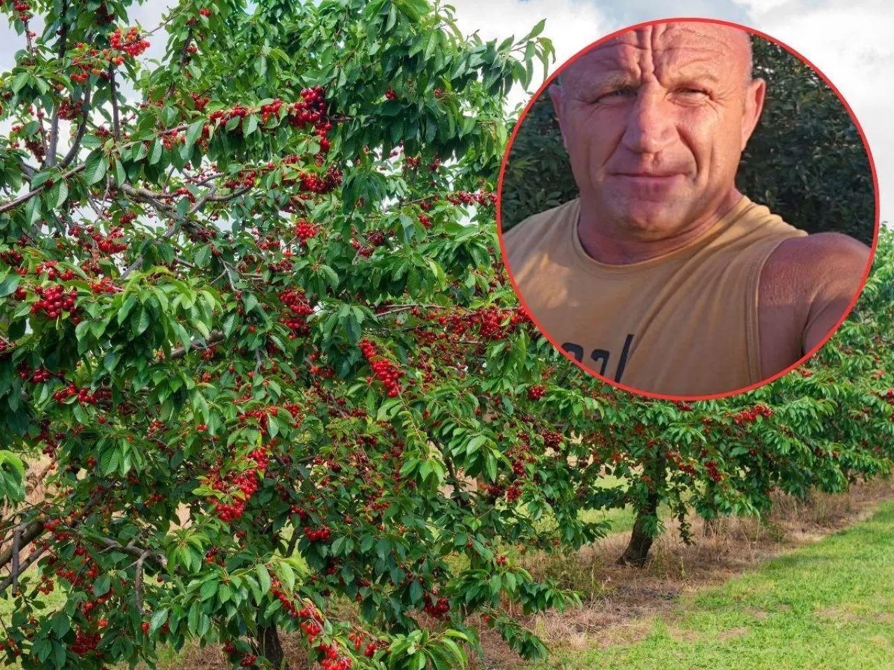 Kataklizm w sadzie Pudziana. ”Zbiorę 3-4 kg”