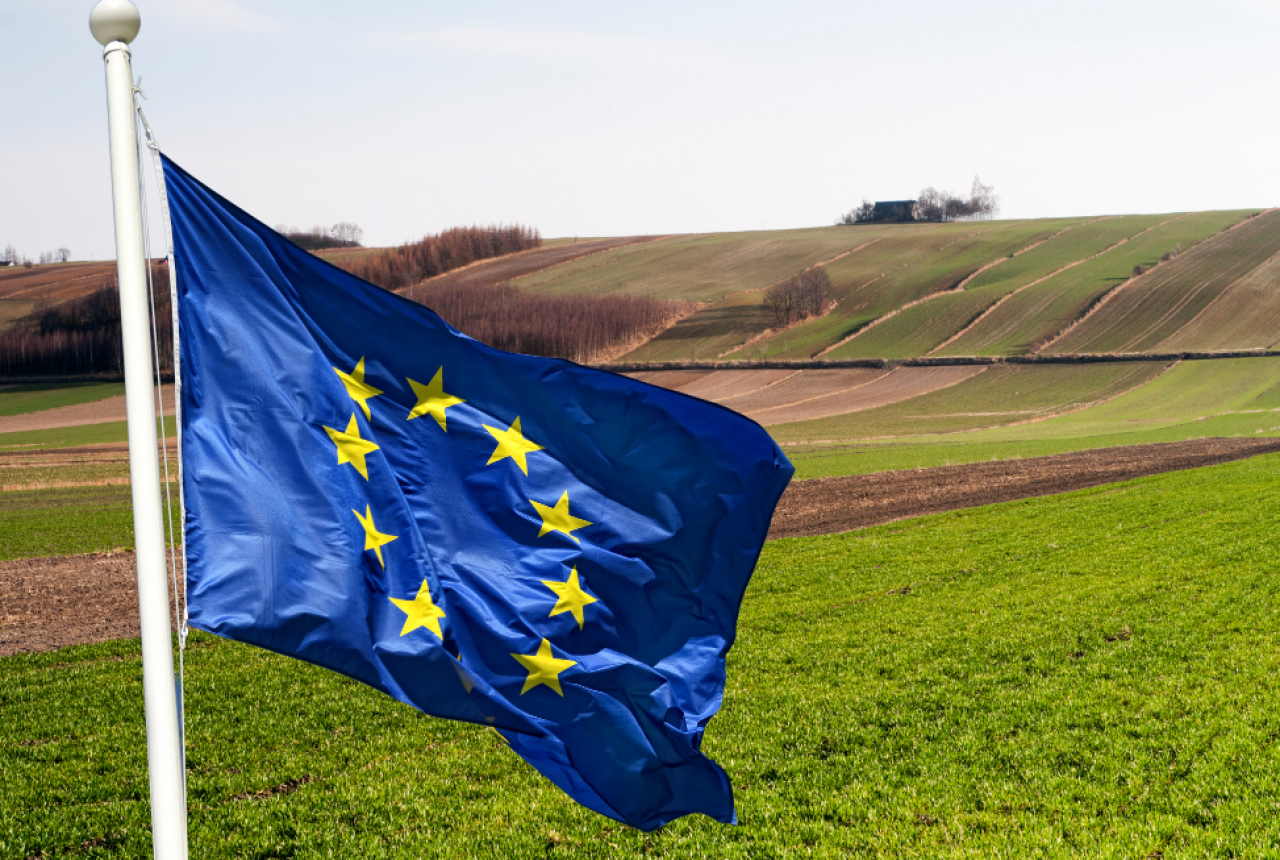 10 tys. zł dopłaty dla małych gospodarstw? UE planuje uproszczenia od 2026 roku