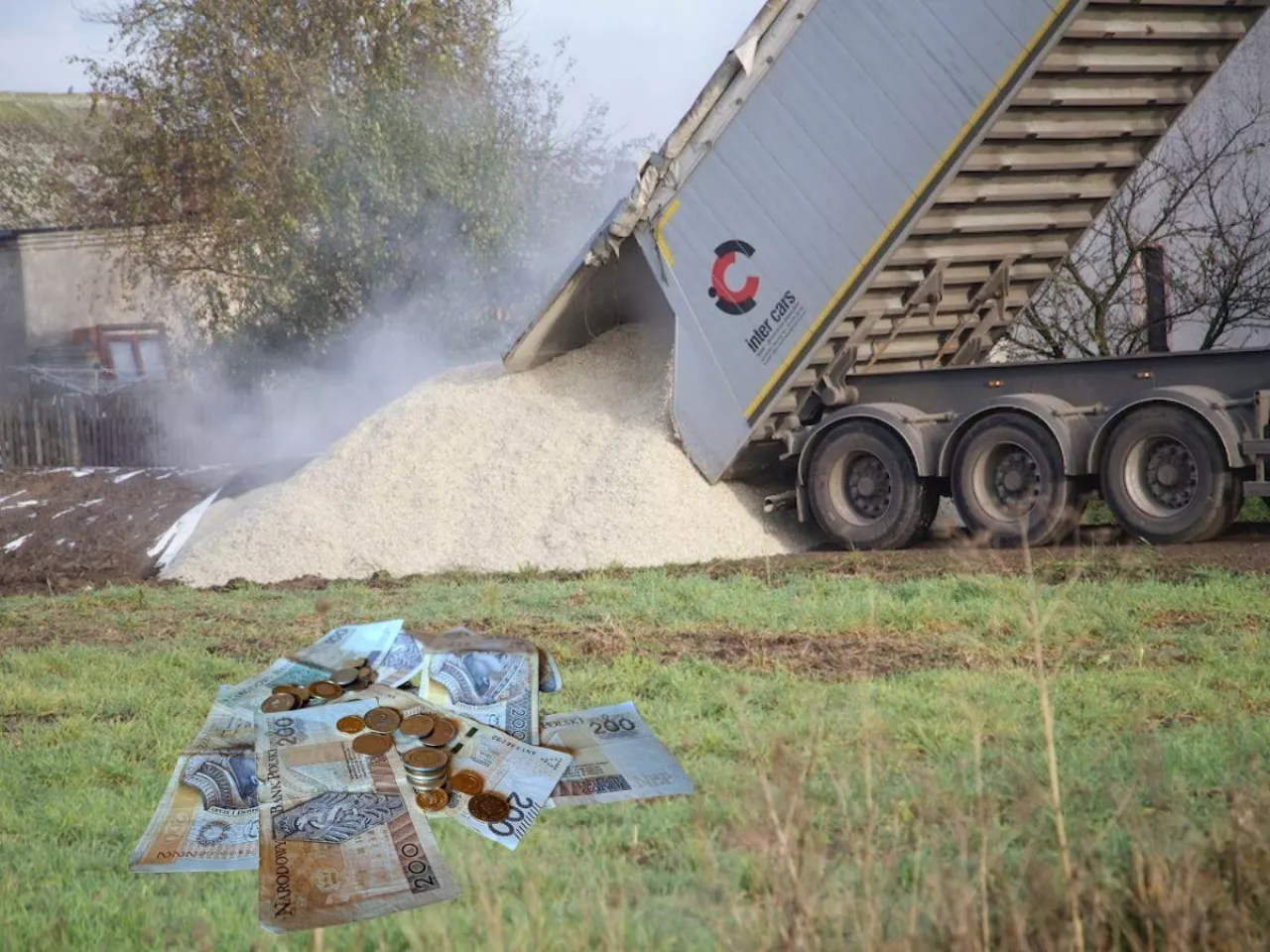 Pasza dla poszkodowanych rolników. Ruszył nabór na wysłodki buraczane - przeczytaj
