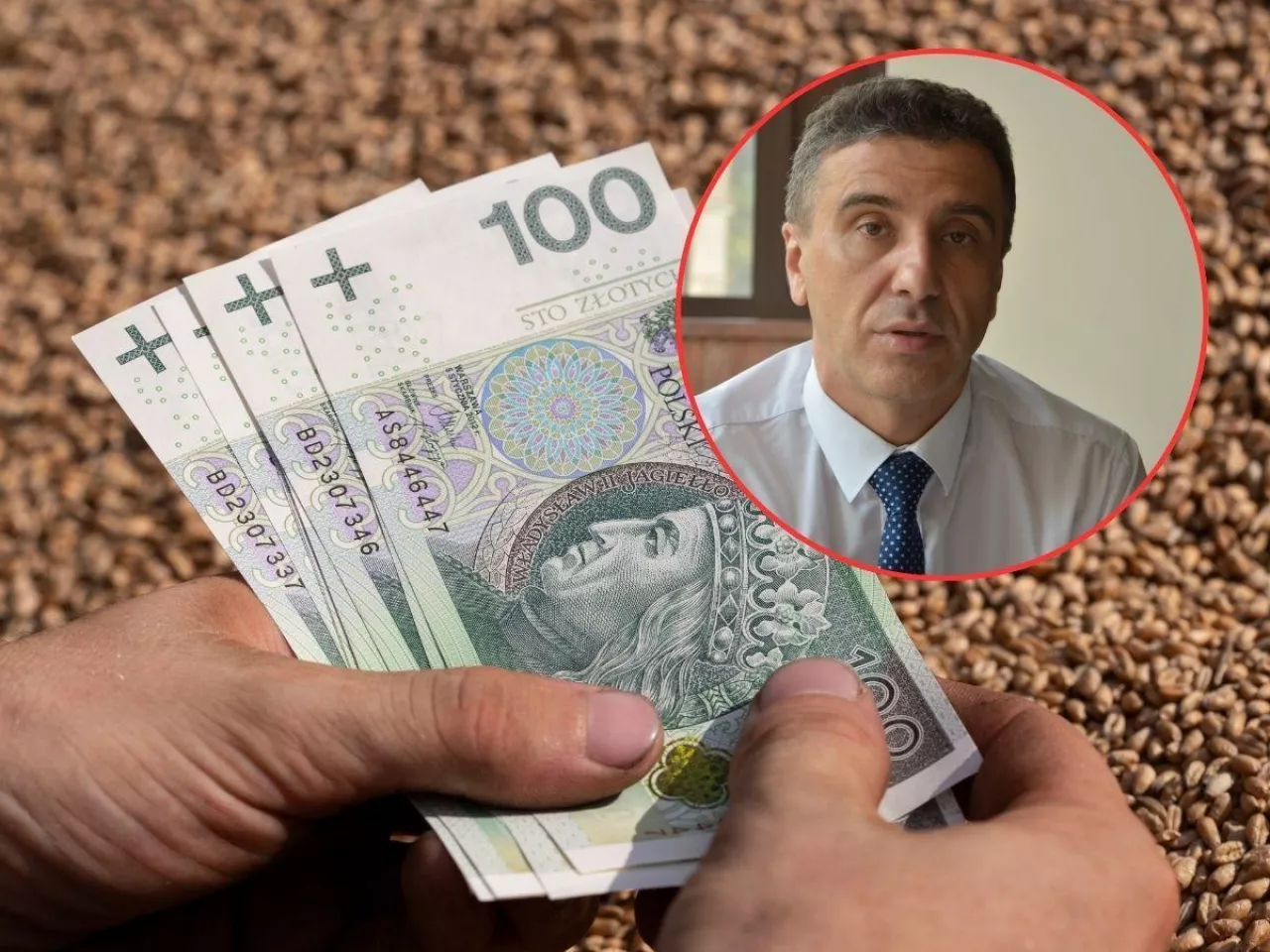 Pszenica 200 zł na minusie. ”Rolnik dokłada, rząd się przygląda”