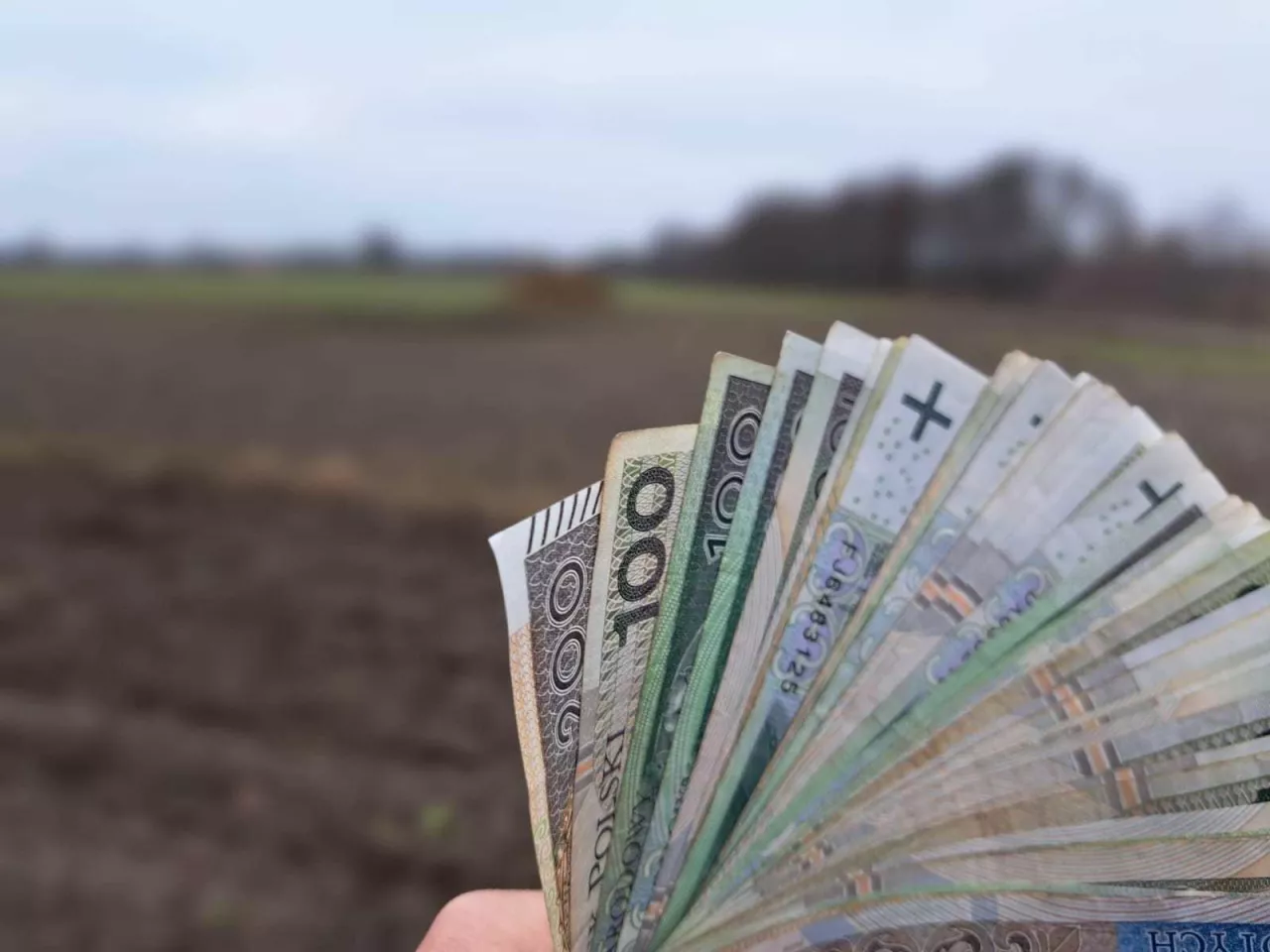 Rolnik liczy każdy grosz. Kto tak naprawdę tonie w długach?