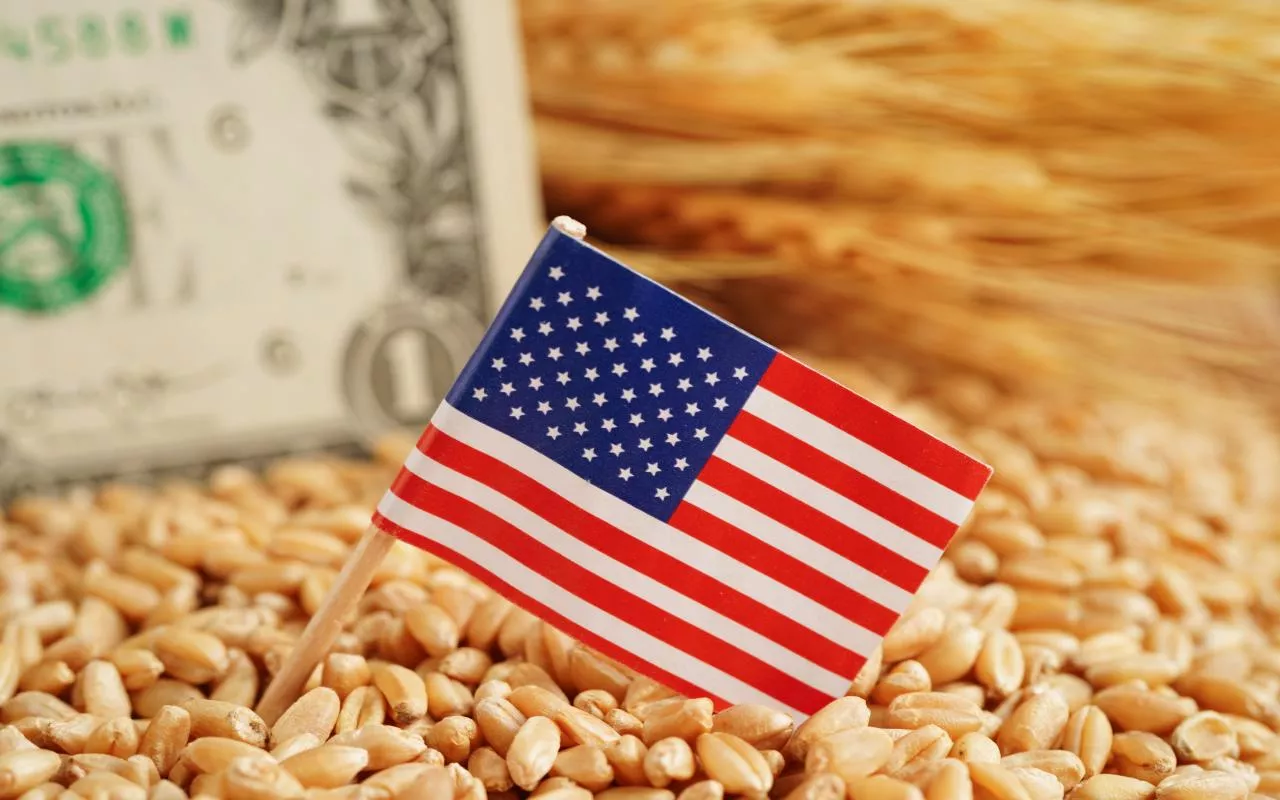 Amerykańska flaga na tle ziarna i dolara – handel rolny USA–UE