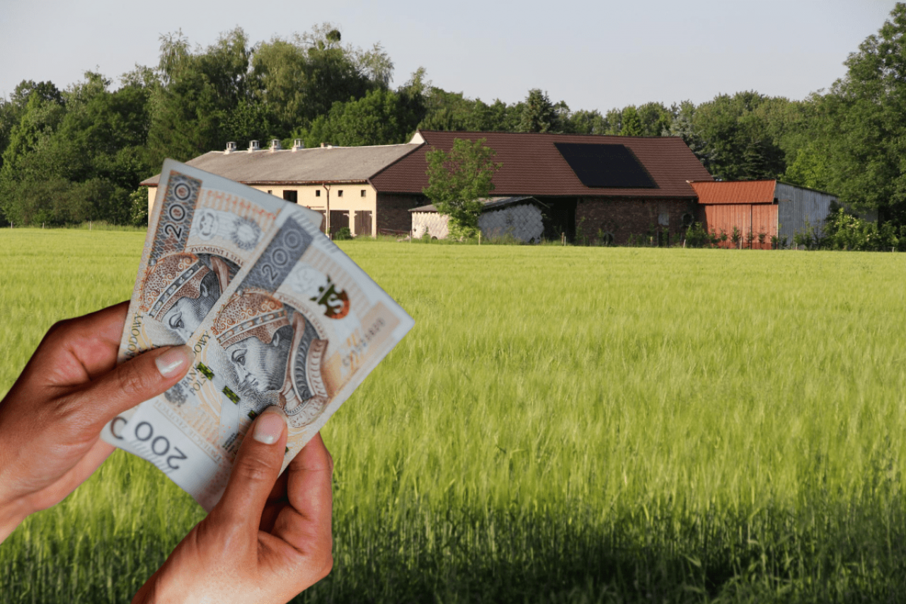 Ceny ziemi rolnej 2025: ile kosztuje klasa I, II i IIIa w Polsce?