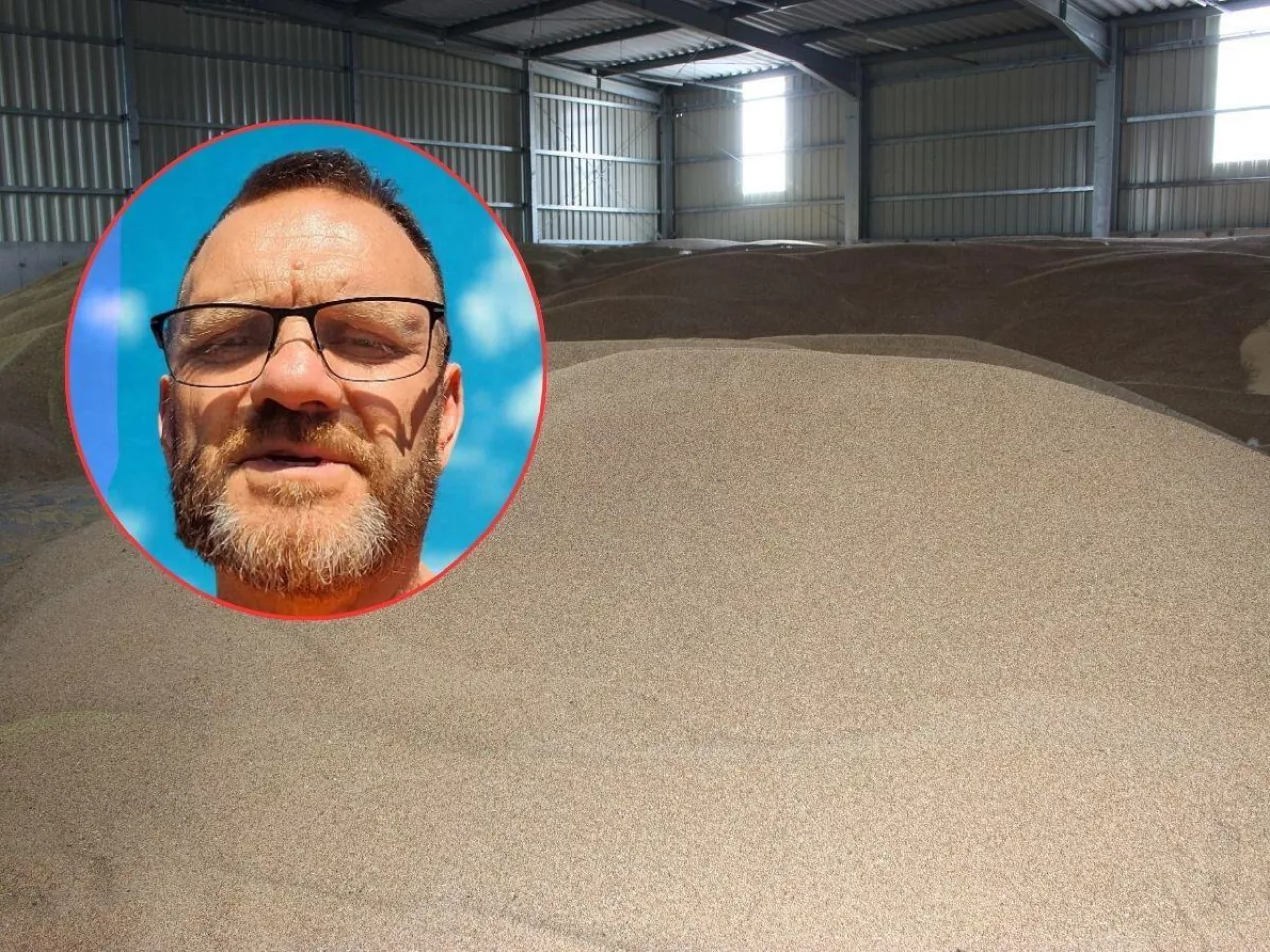 Rolnik ma 500 ton pszenicy i nie ma gdzie jej sprzedać. ”Zboże tańsze niż otręby”