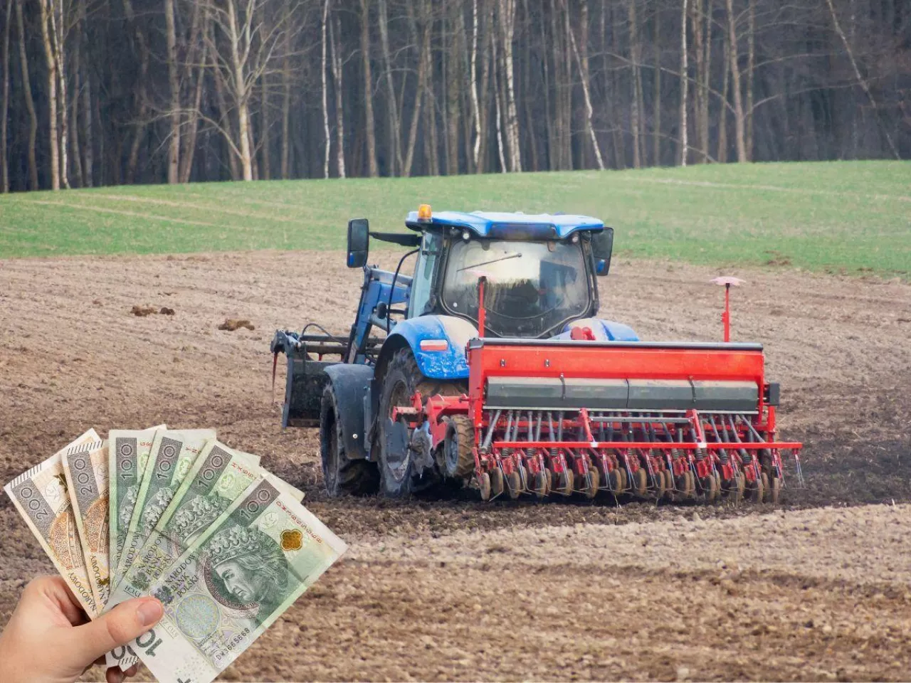 Ceny usług rolniczych: ile za siew we wrześniu 2025?