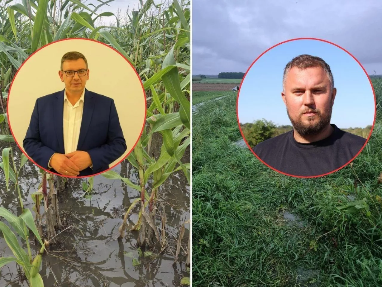 Dramat na Żuławach