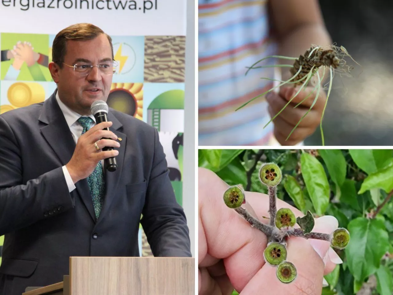 Pomoc dla rolników