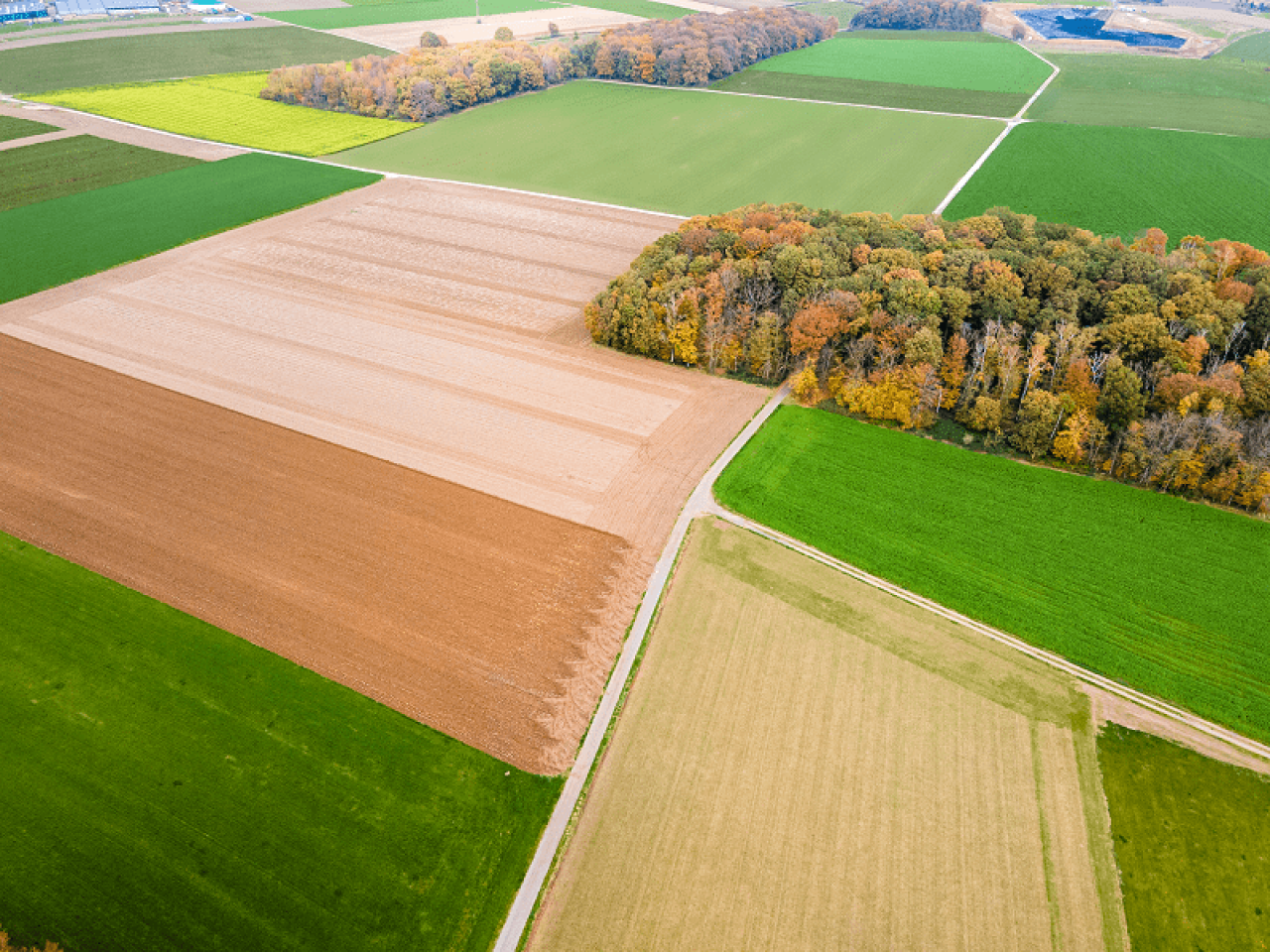 widok pól z góry