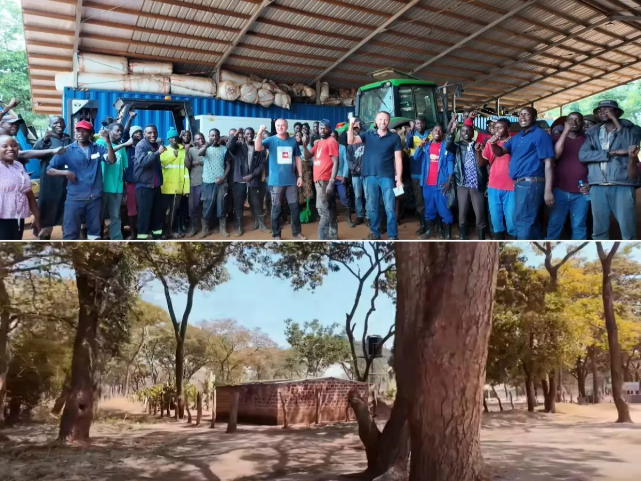 430 pracowników dziennie i ”podatek od białej twarzy”. Tak wygląda gospodarstwo Polaków w Zambii