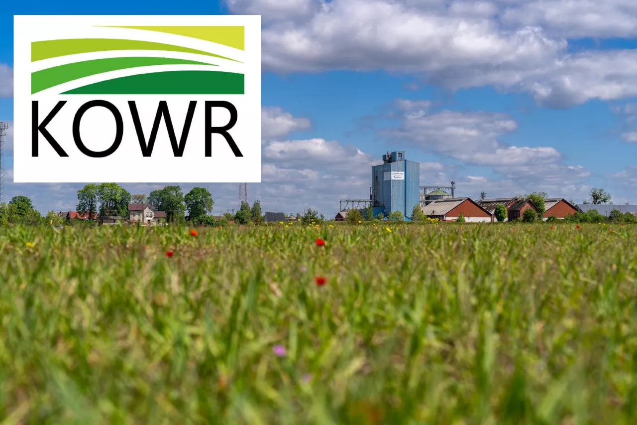 Jak wygląda procedura przetargowa na ziemię z KOWR?