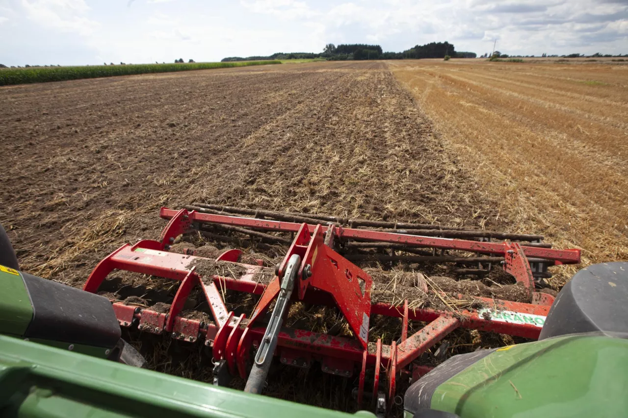 Wprowadzenie materii organicznej do gleby, w tym pozostawienie słomy będzie punktowane w ramach ekoschematu Rolnictwo węglowe.